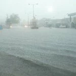 Unseasonal rains in Andhra Pradesh claim nine lives
