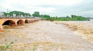 Heavy Rains: Losses estimated at Rs 221 Crore