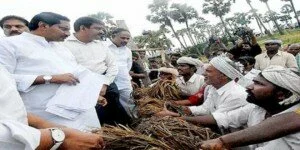 CM directs all departments to help the farmers in a big way