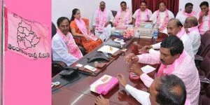 TRS sees red in pink colour for NOTA button