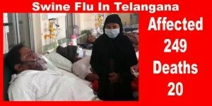 Swine flu death toll in Telangana touches 20