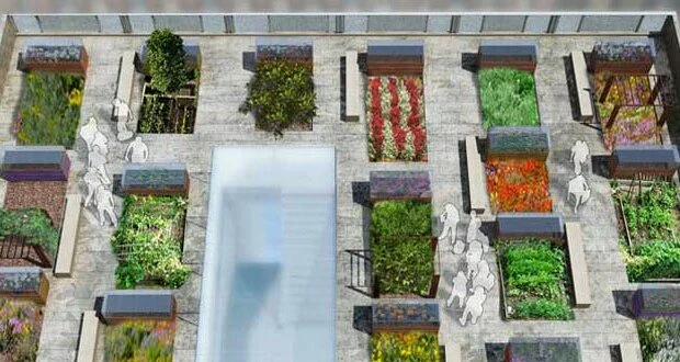 Rooftop gardens